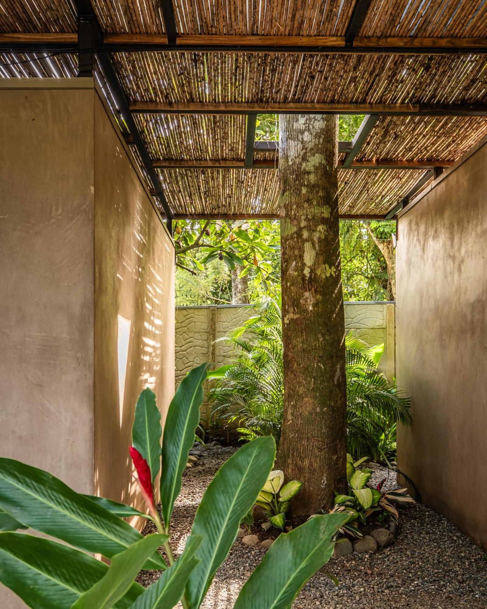 La Bonita Lodge Puerto Viejo de Talamanca エクステリア 写真