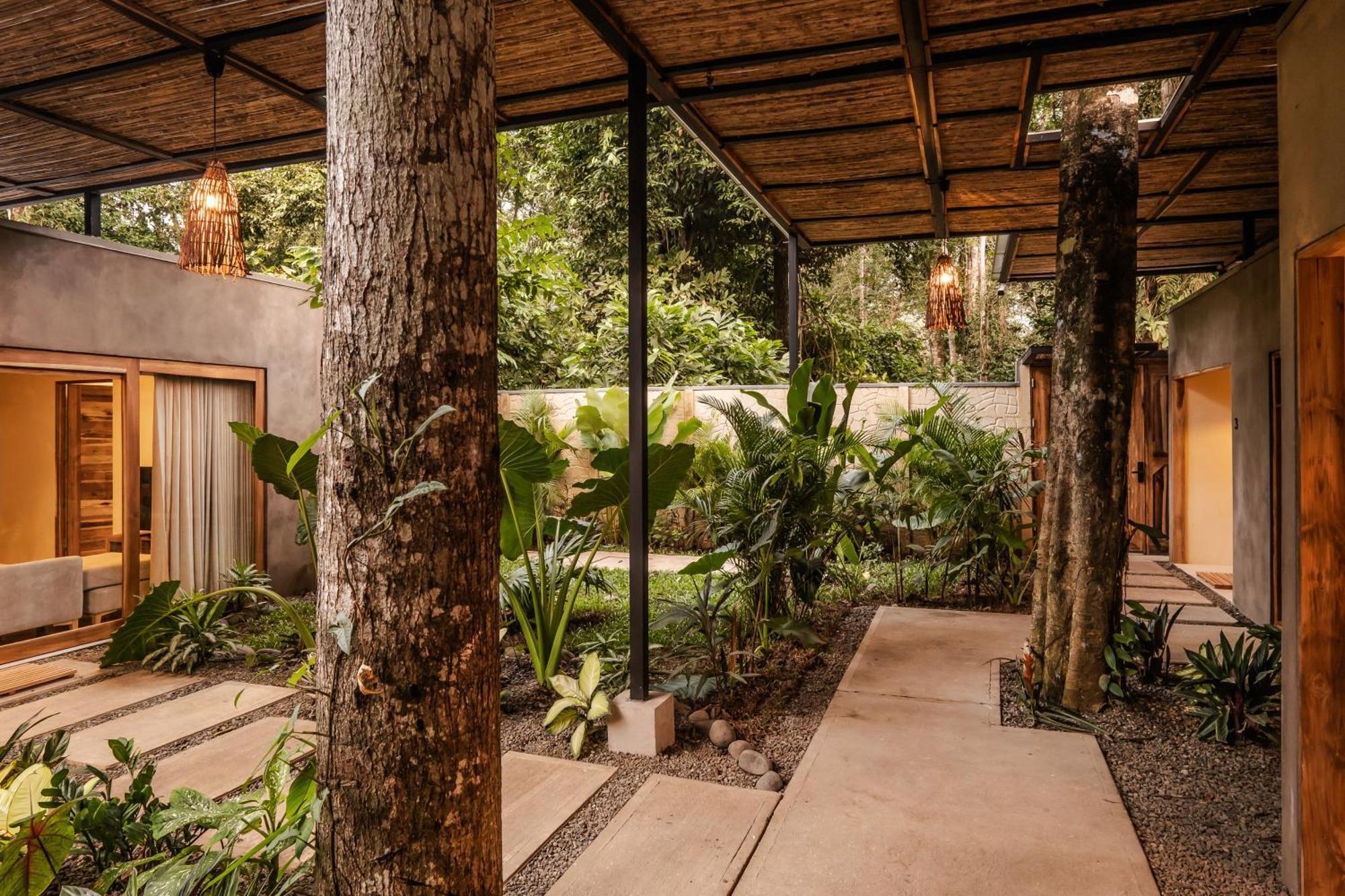 La Bonita Lodge Puerto Viejo de Talamanca エクステリア 写真